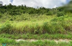 Rincón, Gurabo, PR 00778
