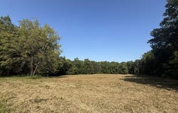 Ellis Lane, SPRINGVILLE, TN 38256