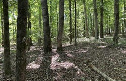 143 Terrapin Pointe, Hodges, SC 29653