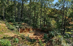 6 Pioneer Lane, Hendersonville, NC 28792