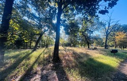Hidden Valley, Tool, TX 75143
