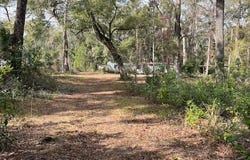 NE 752nd St, Old Town, FL 32680