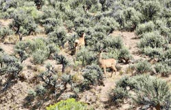 3986 County Road 103, Craig, CO 81625