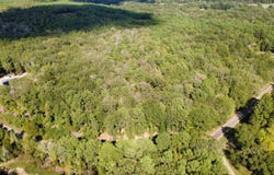 TBD Edmondson Rd lot: 6, Harleton, TX 75651