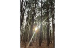 Mack Road, Seagrove, NC 27341