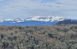 TRACT 5 E BEAVER RIDGE Road, Daniel, WY 83115