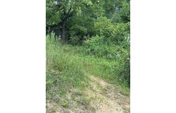 Panther Falls lot: 65, Wilder, TN 38589