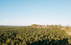 8 Highway, Fordyce, AR 71742