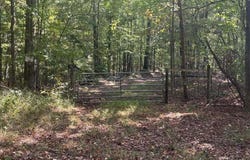 DIXIE SPRINGS Rd, Oakman, AL 35579