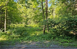 Stables Road, Fenner, NY 13035