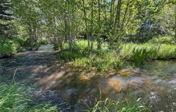 34 Baldy View Lane, Plains, MT 59859
