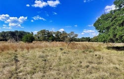 Legacy Oaks Dr lot: 22, Harper, TX 78631