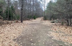 2510 W Winston Road, Rothbury, MI 49452