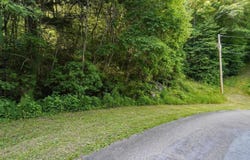 Laurel Highlands Road lot: 8, Roan Mountain, TN 37687