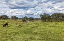 43 Rice Road, Yoakum, TX 77995