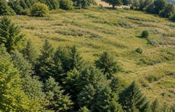 Blazer Heights lot: 13, Bloomfield, KY 40008