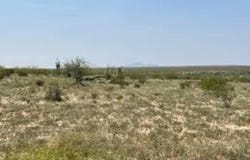 Sierra Blanca, TX 79851