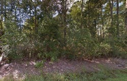 10TH Avenue, DELAND, FL 32724