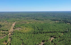 Easement Liberty Rd, Jefferson, TX 75657