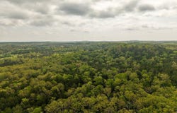 Tract 6 Litte Woods Road, Elizabeth, AR 72531