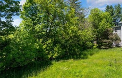 107 Berrill Avenue, Waterville, NY 13480