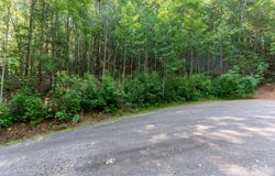 Rhododendron Drive, Saluda, NC 28773