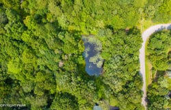 Greenleaf Drive, Long Pond, PA 18334