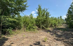 PIN 636351A CR 4855, TIMPSON, TX 75975
