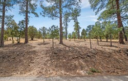 Twin Tree Loop lot: 19, Alto, NM 88312