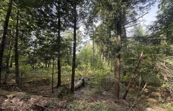 OConnell Road, Constable, NY 12926