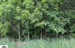N Lincoln, Stanton, MI 48888