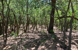 152 State Highway, Sayre, OK 73662