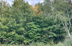 818 Chestnut St., Centertown, KY 42328