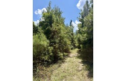 Asseff Road, Mansfield, LA 71052