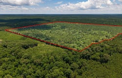 Parcel # 12446 CR 460, Etoile, TX 75944