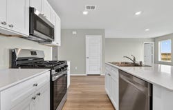 516 BABBLING BROOK Drive, Denton, TX 76259