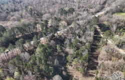 Gillham Lake Road, Gillham, AR 79841