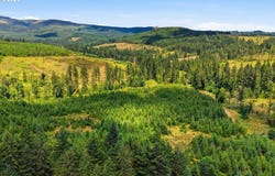 Fairdale Rd, Yamhill, OR 97148