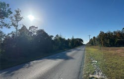 NE 69TH Lane, WILLISTON, FL 32696