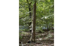 1 Helton Branch Rd., Gray, KY 40734