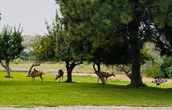 57 ROAD 5267, Farmington, NM 87401