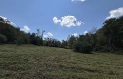 Hunters Fork Road, Belington, WV 26250