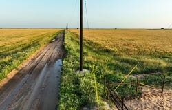 125 County Road 272, Weinert, TX 76388