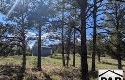 13115 W Silver Spruce Cir, Weston, CO 81091