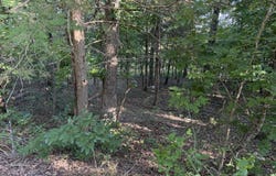 Cedar Lane, Rockaway Beach, MO 65740