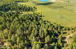 15 CR N 2145, Alpine, AZ 85920