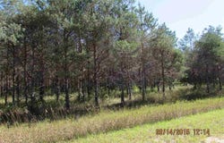 411 KLEEHAMMER CLUB DRIVE, KALKASKA, MI 49646