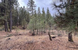 Fireline, Bickleton, WA 99322
