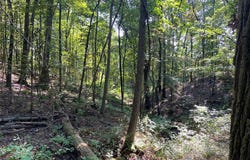 Willow Avenue, Knox, PA 16232