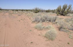 29B N9005, Concho, AZ 85924